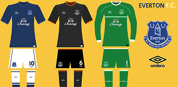 Everton concept kit
