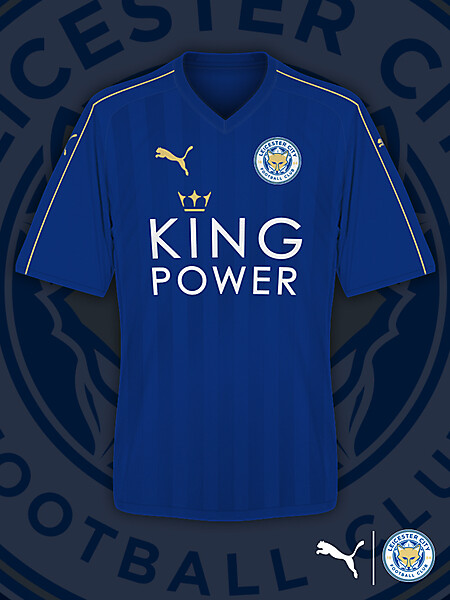 Leicester City 16/17 Home Kit