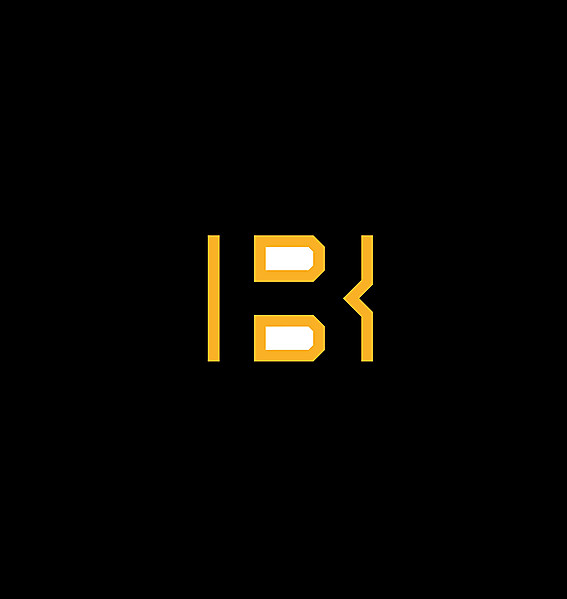 Boston Bruins logo .