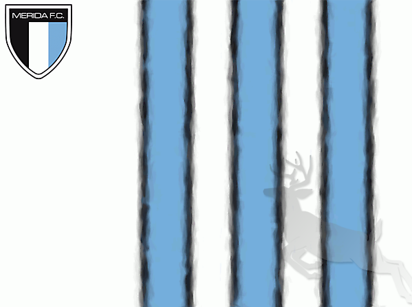 Mérida Fútbol Club Flag