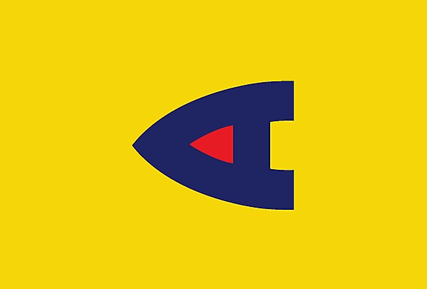 Club America logo .
