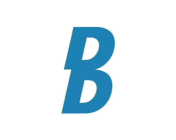 Dinamo Brest logo .