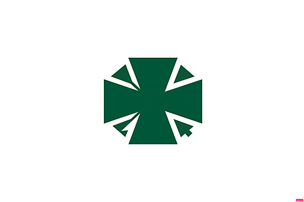 flub de deportes green cross logo.
