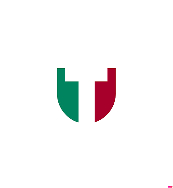 Torino FC logo.
