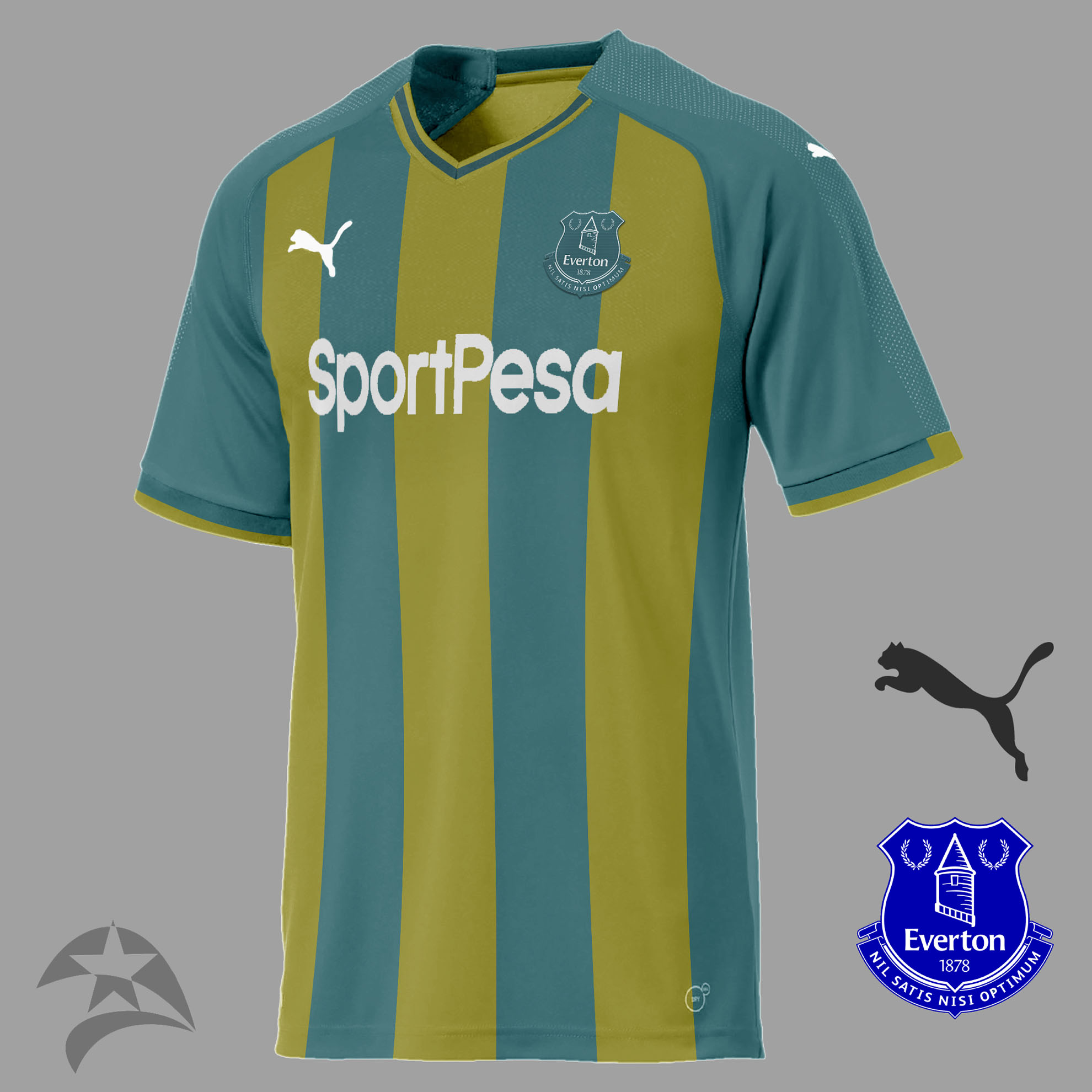 everton puma