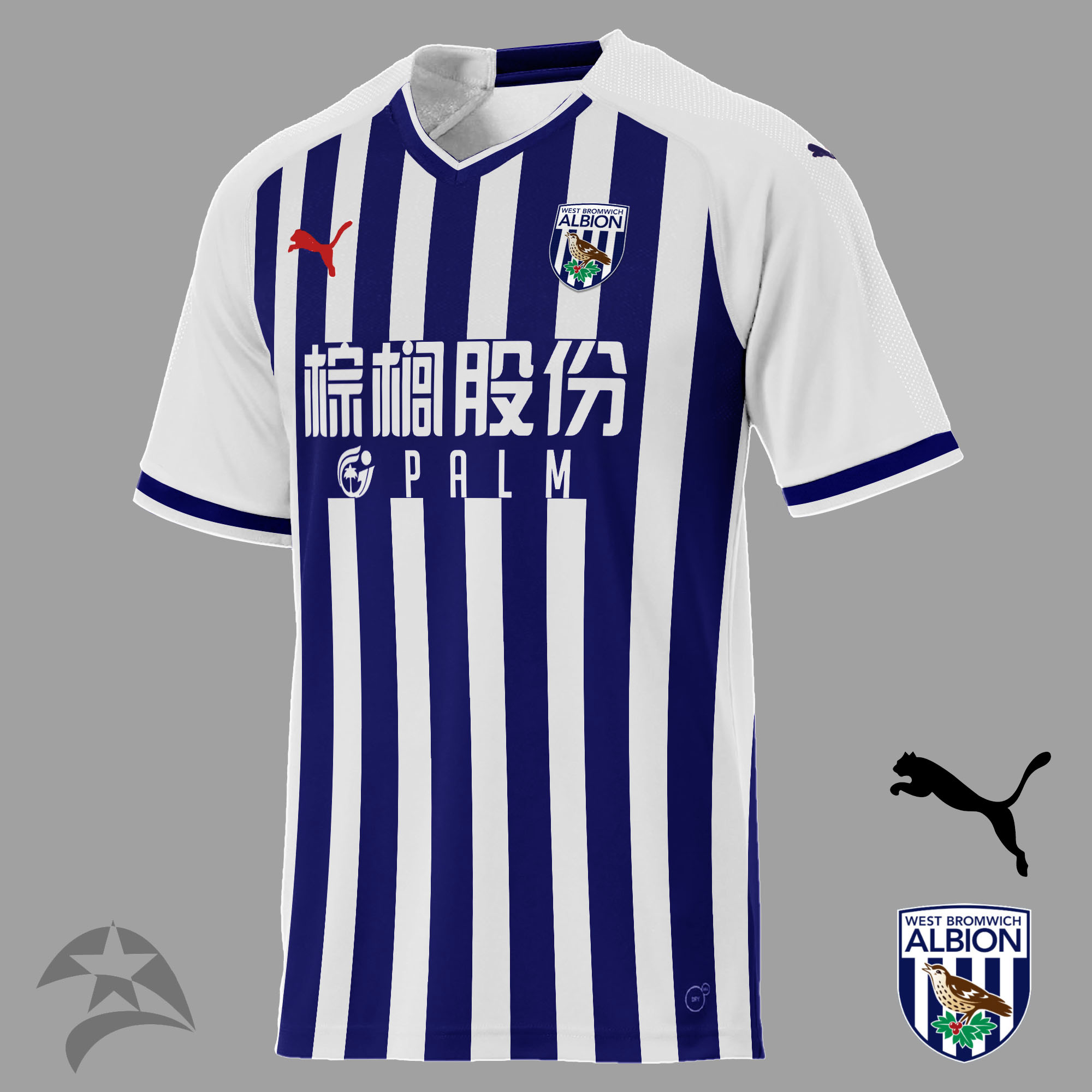 west bromwich albion jersey