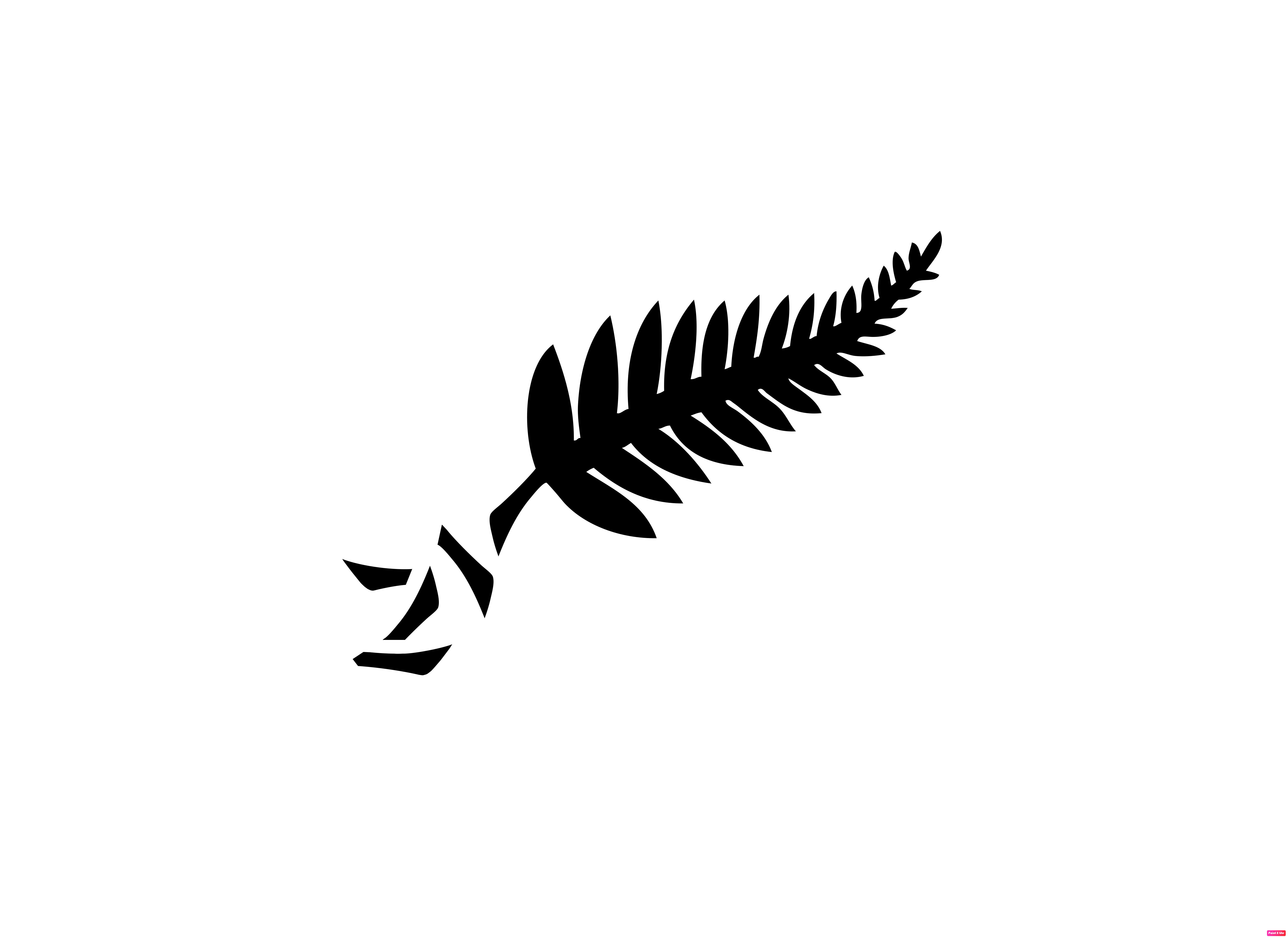New Zealand Football Logo 