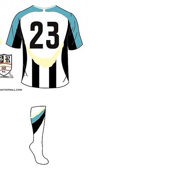 Stafford Rangers Home 2009/10