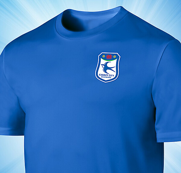 Cardiff City FC 2