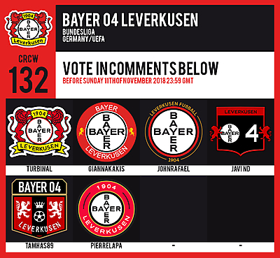 CRCW 132 | VOTING