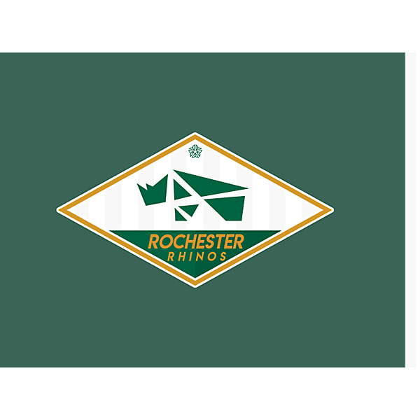 rochester rhinos