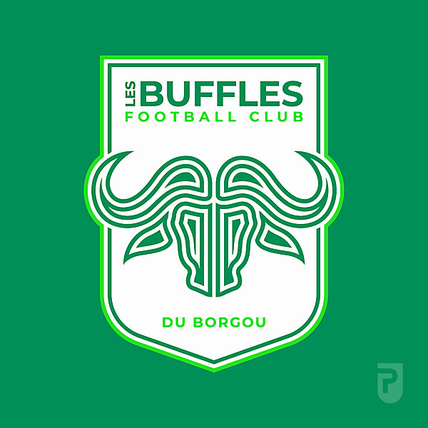 Les Buffles FC du Borgou