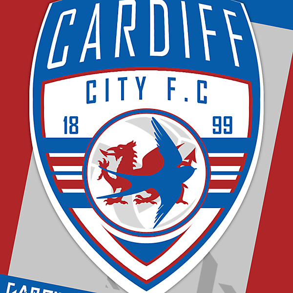 Cardiff City FC - Group B - Match 1