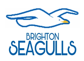 Brighton Seagulls (PL in NFL style)