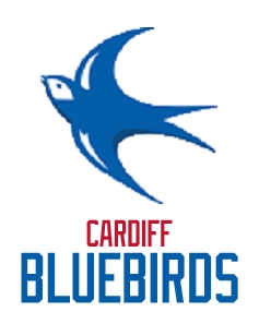 Cardiff Bluebirds (PL in NFL style)