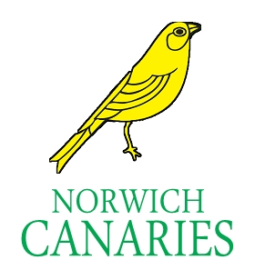 Norwich Canaries (PL in NFL style)