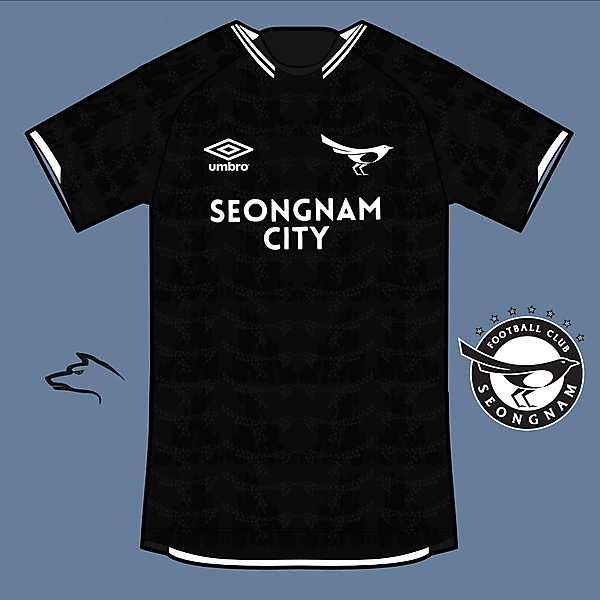 Seongnam FC home