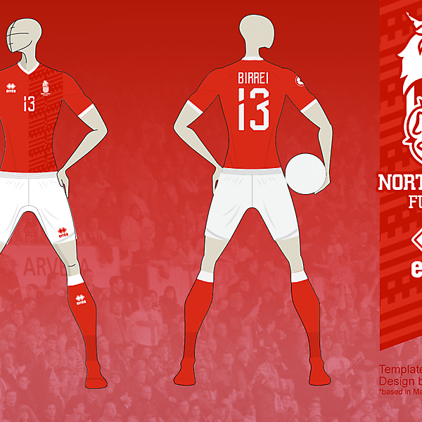 NE FUTSAL Home kit 01b, based in Matupeco's crest v01