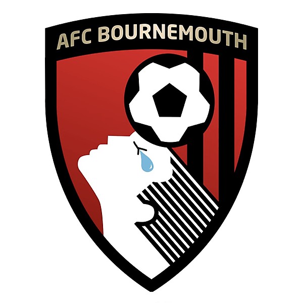 Bournemouth crest after relegation 