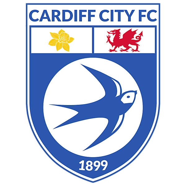 Cardiff City Concept