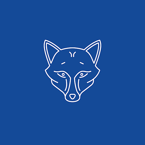 Leicester City FC • Foxes
