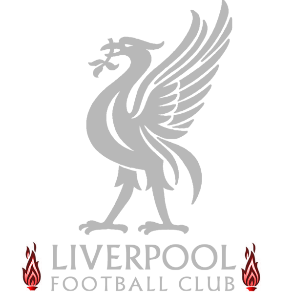 LFC Silver Red Flames