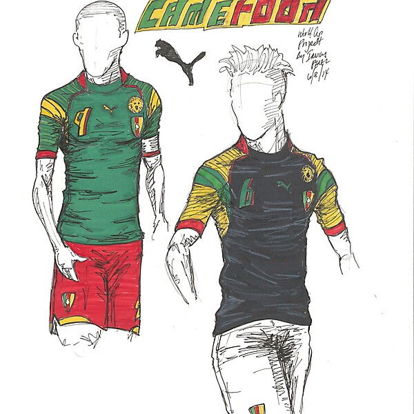 2014 World Cup Project by Irvingperceni - Group A - Cameroon  
