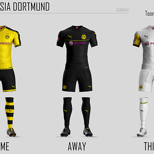Borussia Dortmund Concept