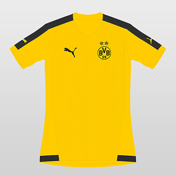Borussia Dortmund Home