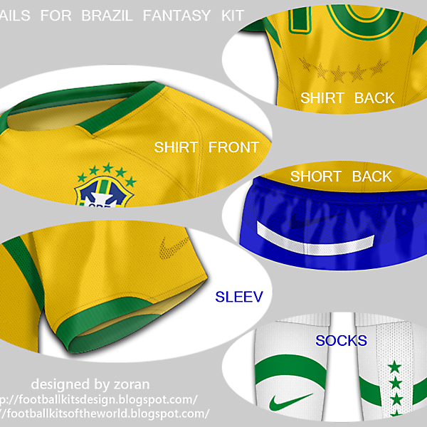 Brazil World Cup 2010 fantasy home details