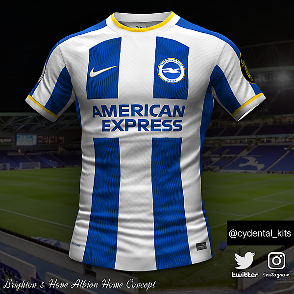 Brighton & Hove Albion Home Concept