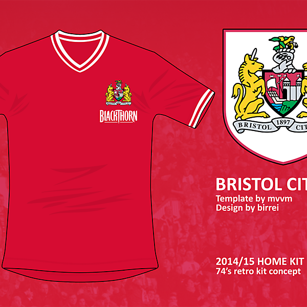 Bristol City FC Home Kit