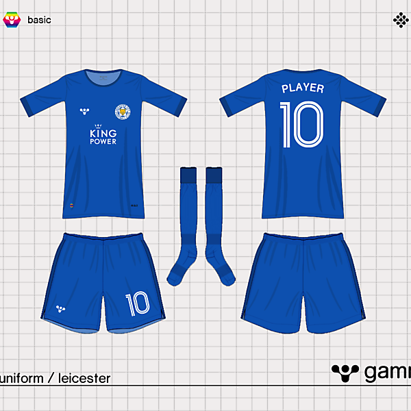 leicester home kit