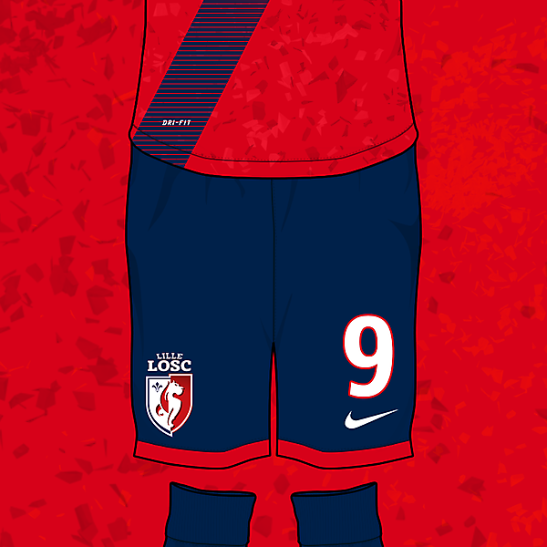 LOSC Lille Home