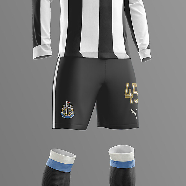 Newcastle Home 2017