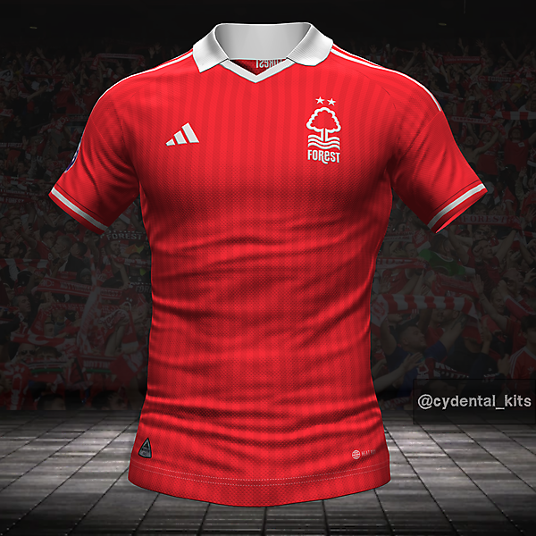 Nottingham Forest Home Concept