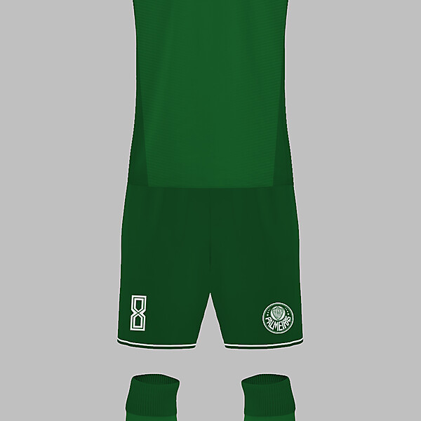Palmeiras x Puma