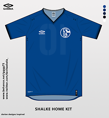 shalke home kit