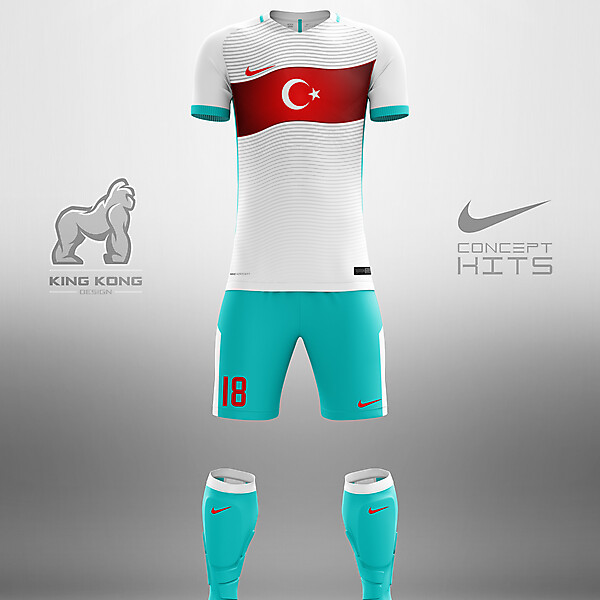 TURKEY CONCEPT KITS