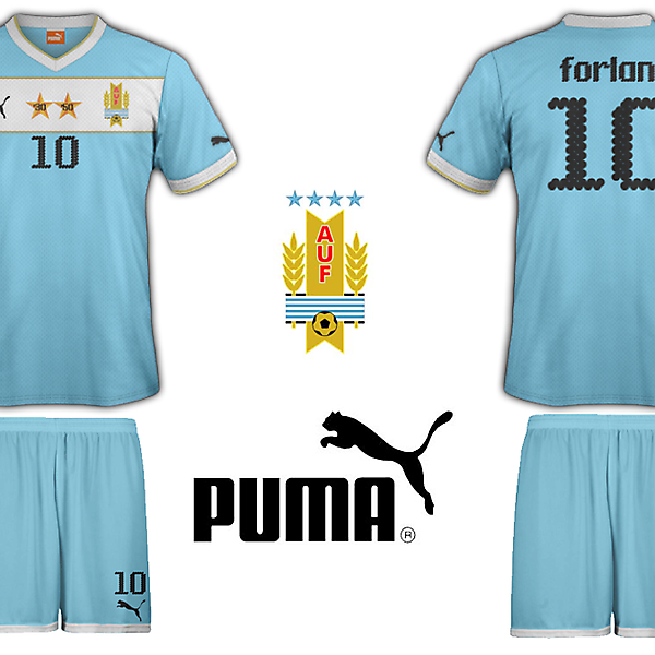 Uruguay Puma Home Kit