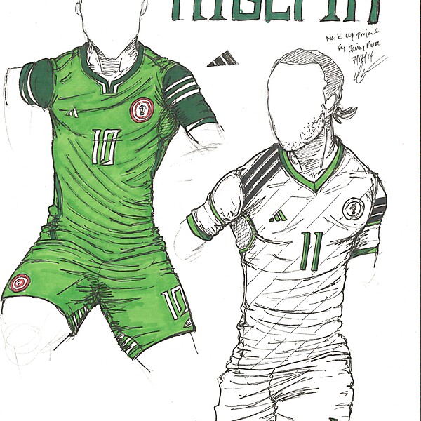 World Cup Project by Irvingperceni - Group F - Nigeria