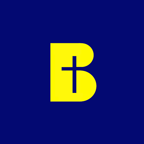 Bayamón FC logo.