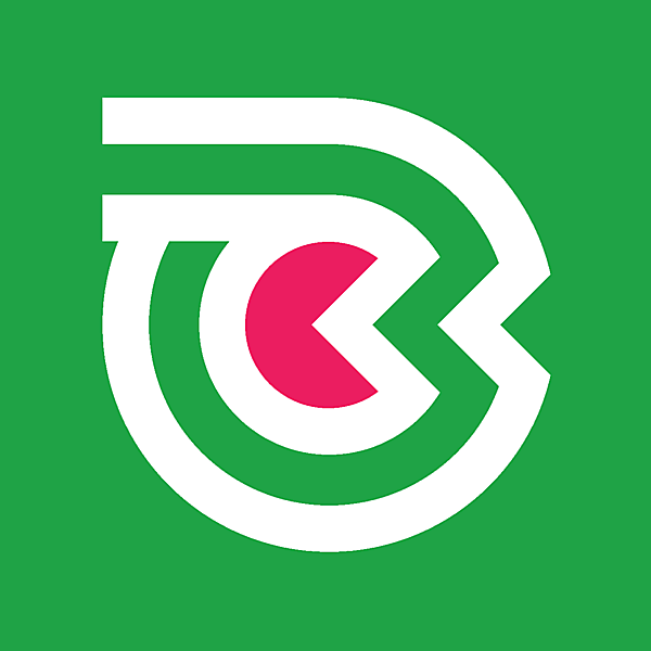 Belarus National team secondary logo idea