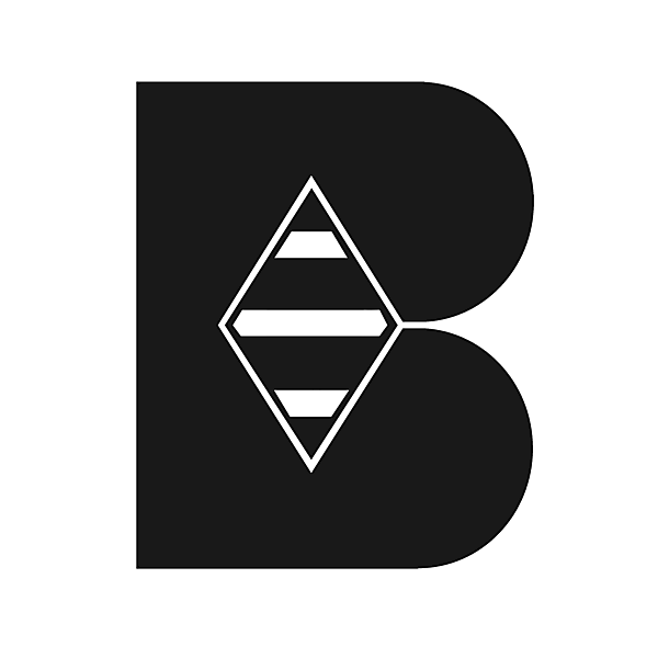 Borussia Moenchengladbach different look logo concept 