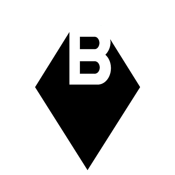 Borussia Moenchengladbach different look logo concept 