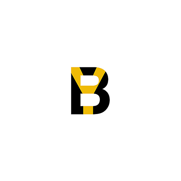 BSC Young Boys logo .