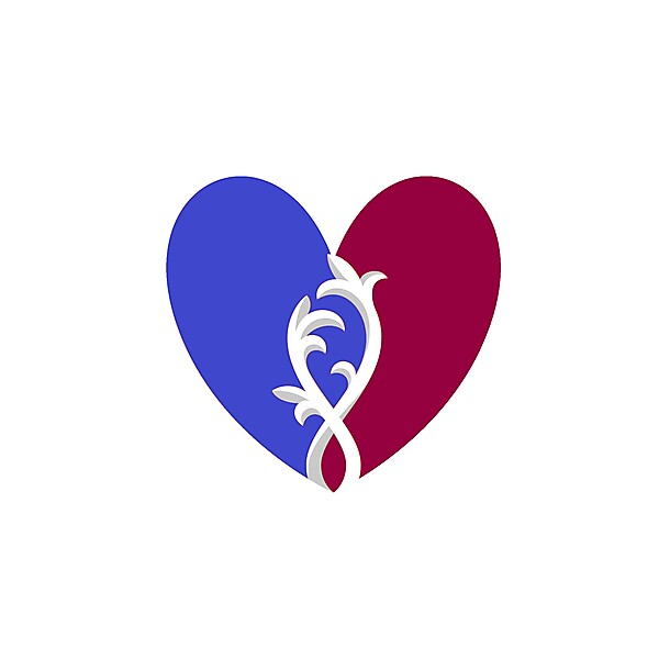 Czech National Team logo .