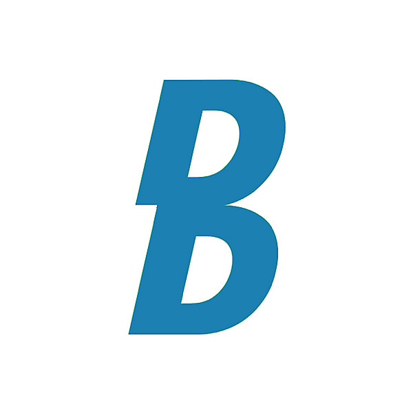 Dinamo Brest logo .