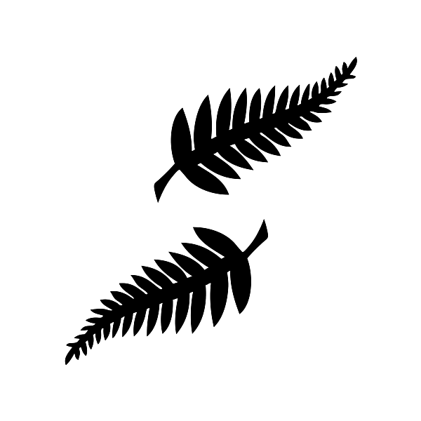 New Zealand football logo.