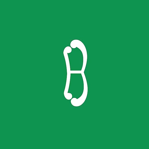Werder Bremen alternate  logo.